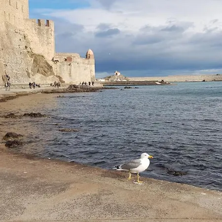 App' Art Centre Plage + Parking Gratuit Collioure Exterior photo