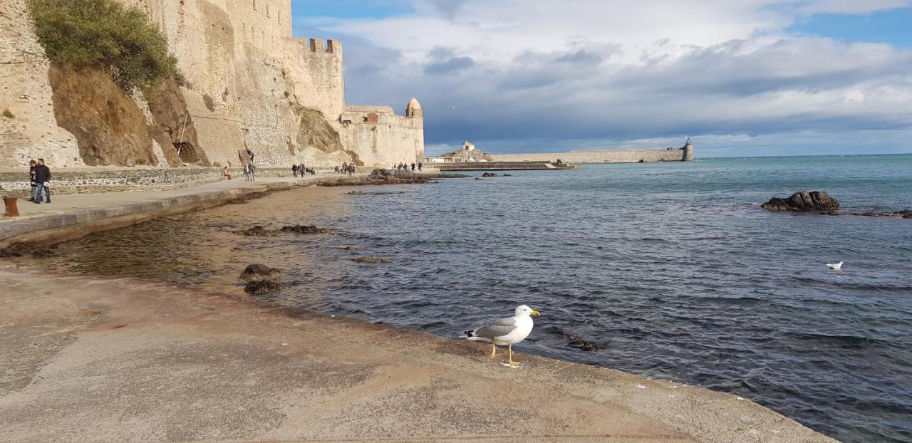 App' Art Centre + Parking Gratuit Apartment Collioure